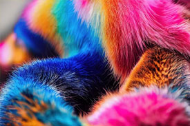 Fur Dyes