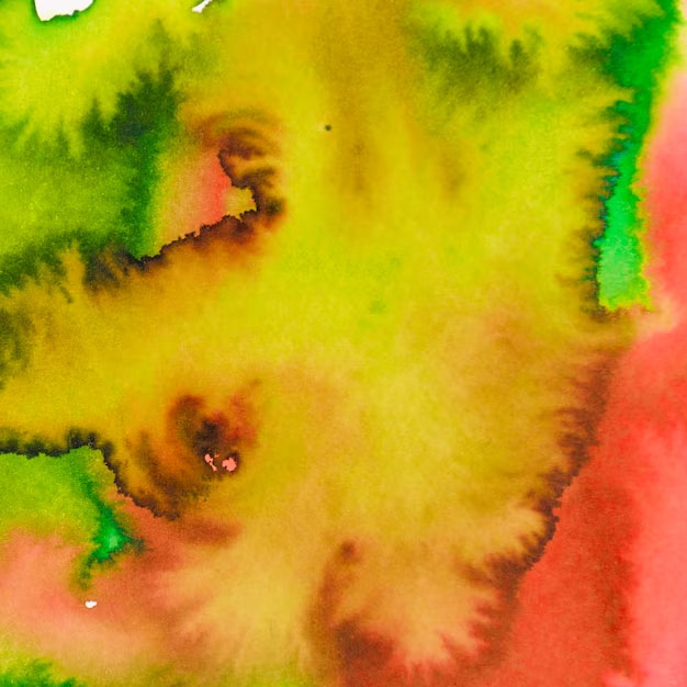 Acid Dyes