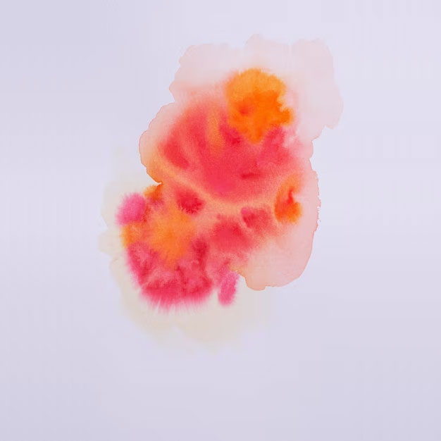 Disperse Dyes
